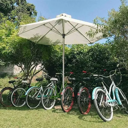 Leisure Isle Studio Knysna Exterior photo